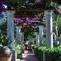 Garten, Capri
