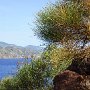 Valle dei Mostri, Vulcano